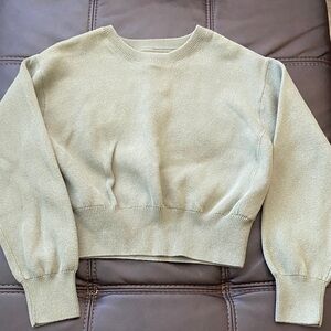 Aerie Sage Green Cropped Sweatshirt XXS